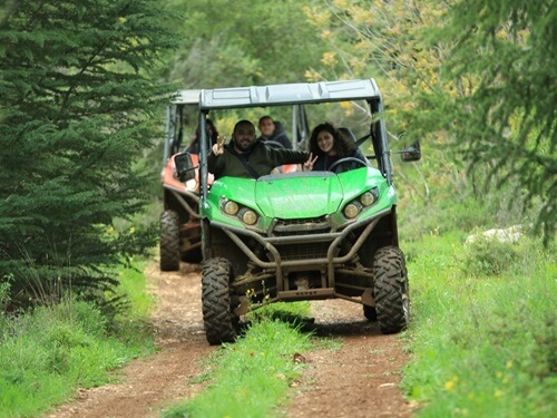 טרקטורוני נוף הורדים